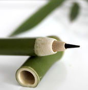 �����Ӿ� ���� Ը��